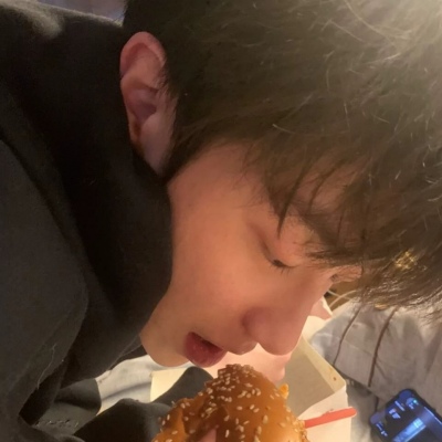 兽设写实风格绘画福瑞群